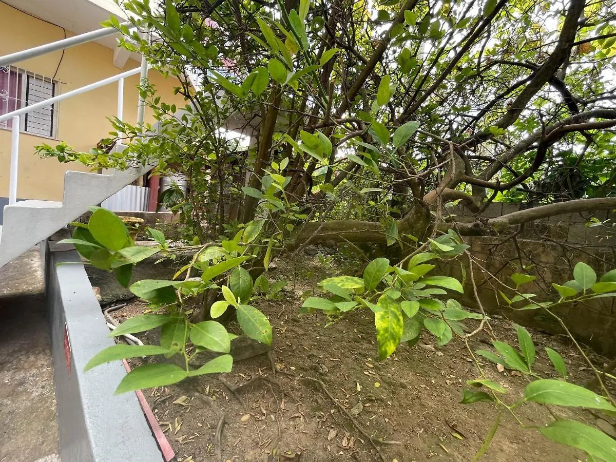 Little Shaw Park Guest House オーチョ・リオス