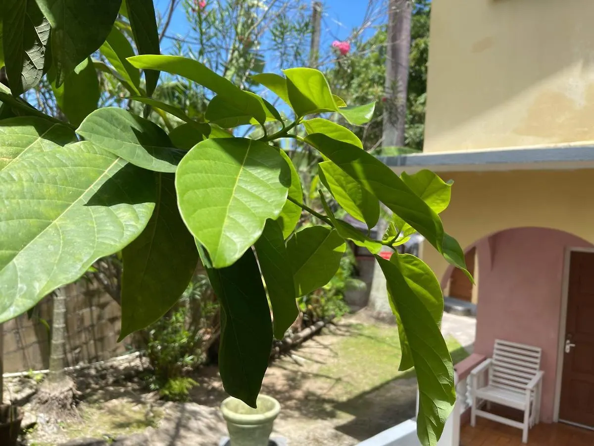 Little Shaw Park Guest House Ότσο Ρίος