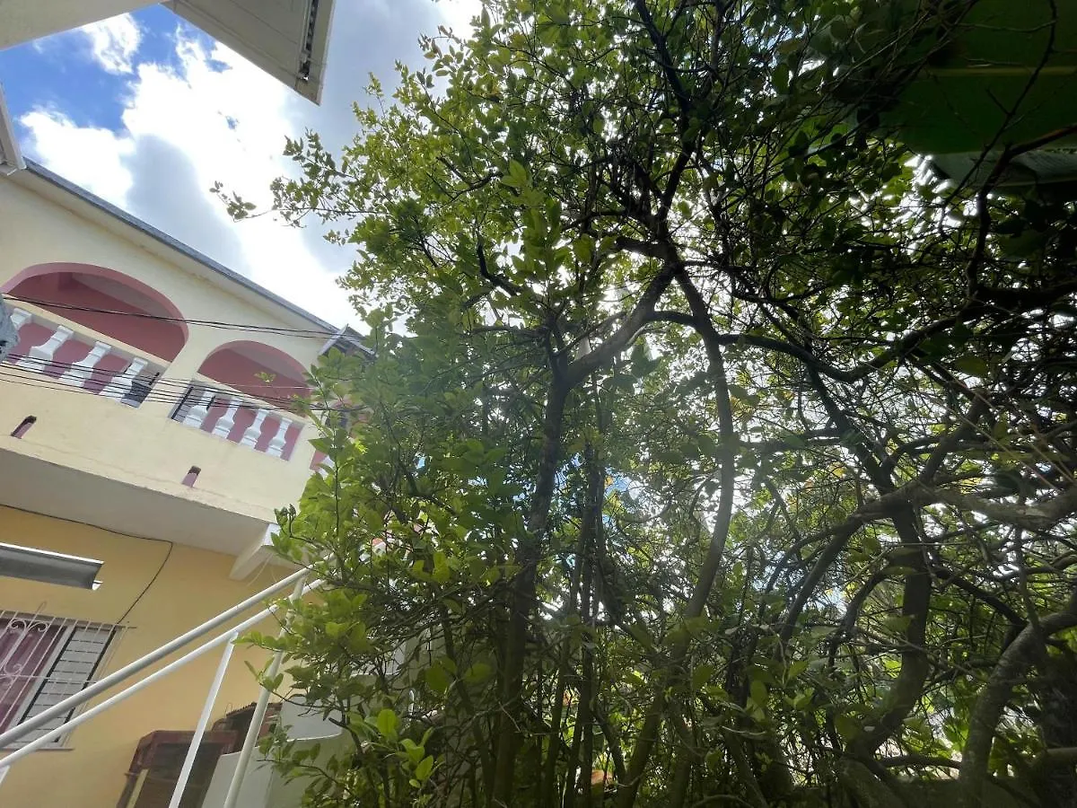 Little Shaw Park Guest House オーチョ・リオス