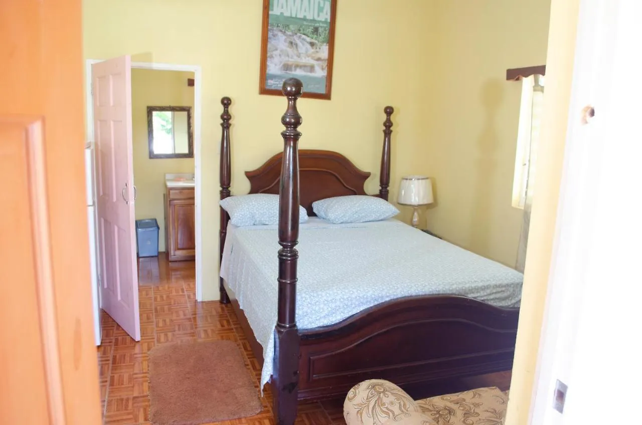 Little Shaw Park Guest House オーチョ・リオス