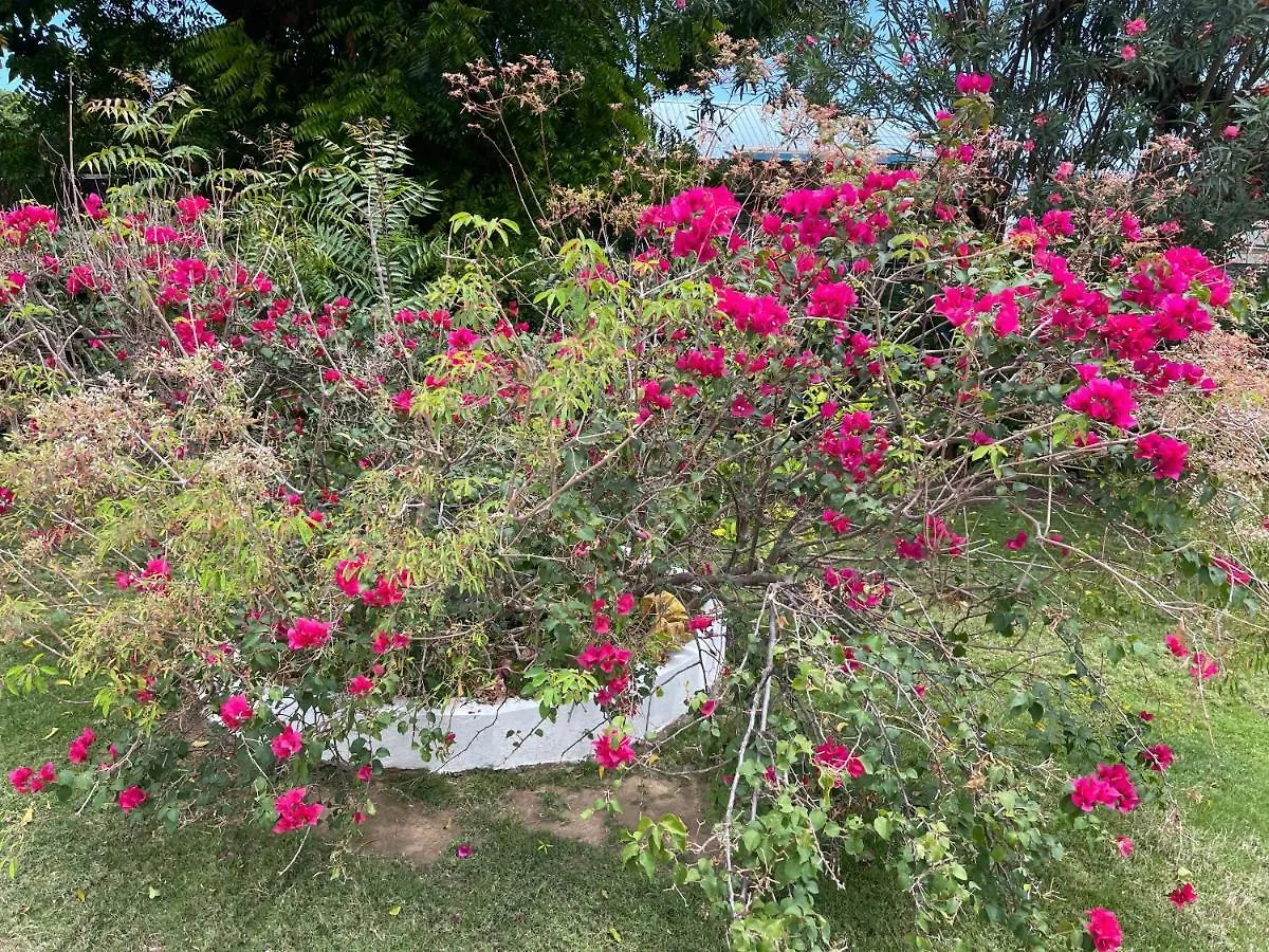 Little Shaw Park Guest House オーチョ・リオス